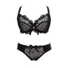 VS Brand New embroidery bras underwear women set plus size lingerie sexy C D cup Ultrathin transparent bra panties lace bra set